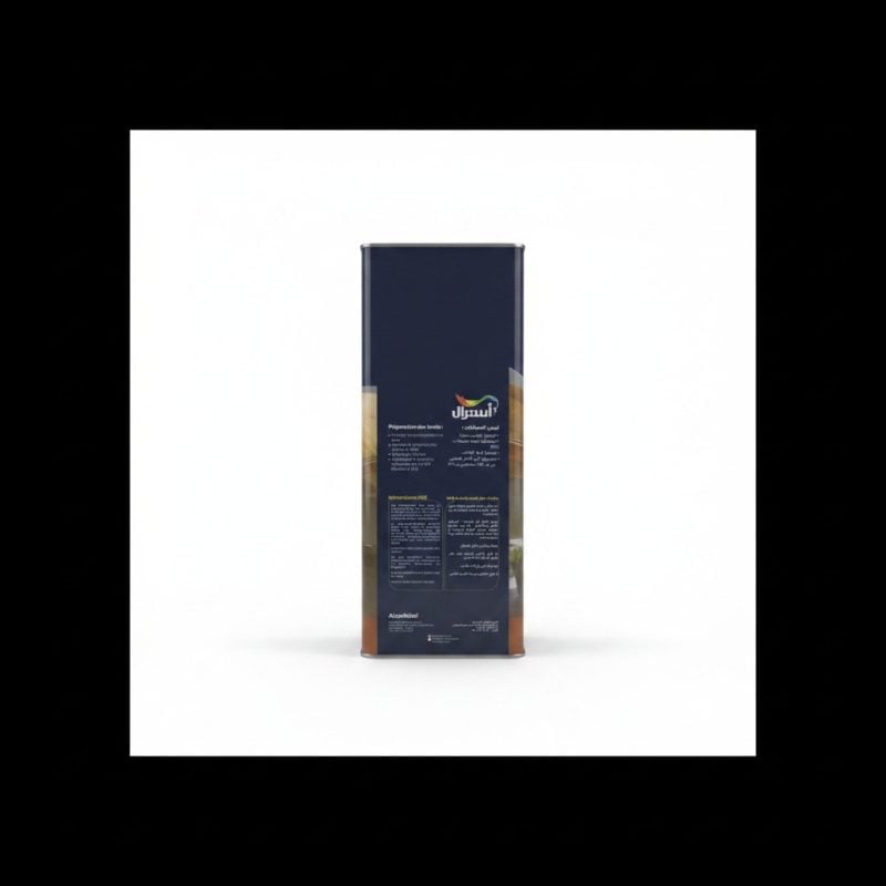 Vernis Extérieur Brillant V.704 Incolore 4L Astral
