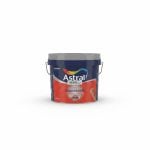 Peinture intérieure Zenitastral Satiné Blanc 4 Kg Astral