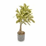 Plante Artificielle 30 cm Feuilles Panachées en Pot Gris