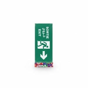 Plaque de signalisation Sortie multilingue flèche vers le bas