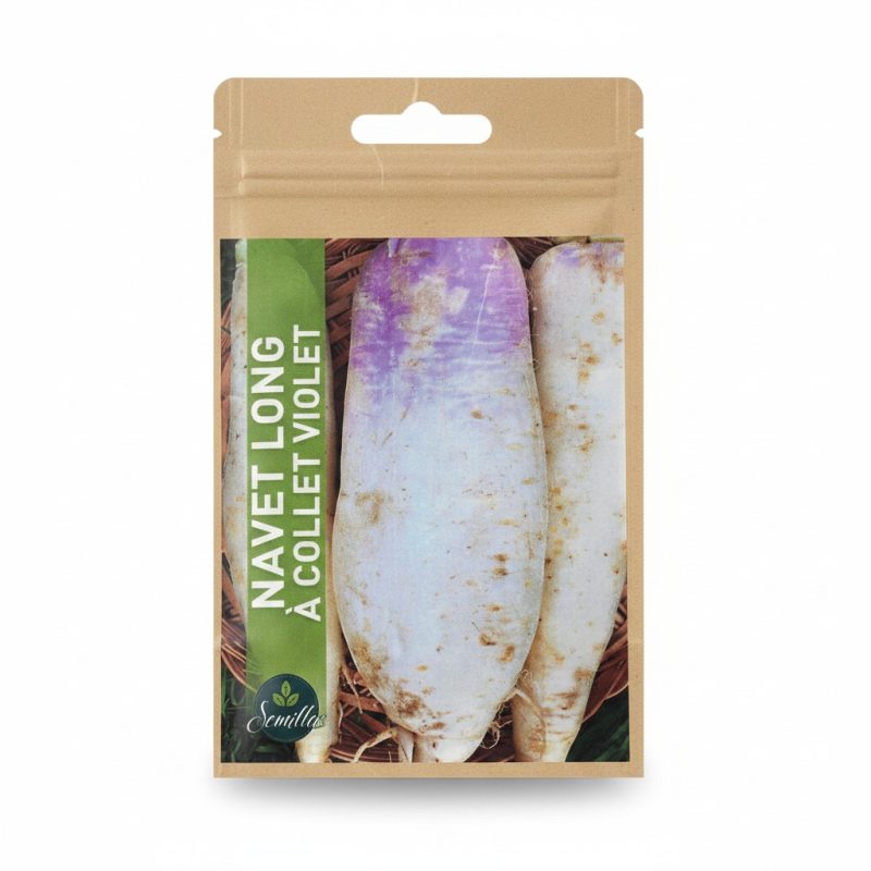 9545571 Graines de Navet Long à Collet Violet Semillas 3g