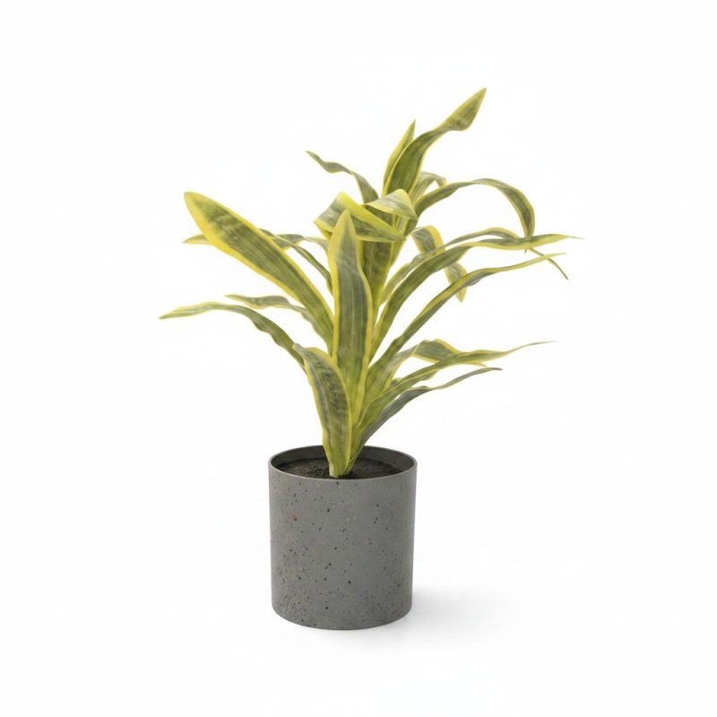 Plante artificielle Sansevieria en pot cylindrique gris granit