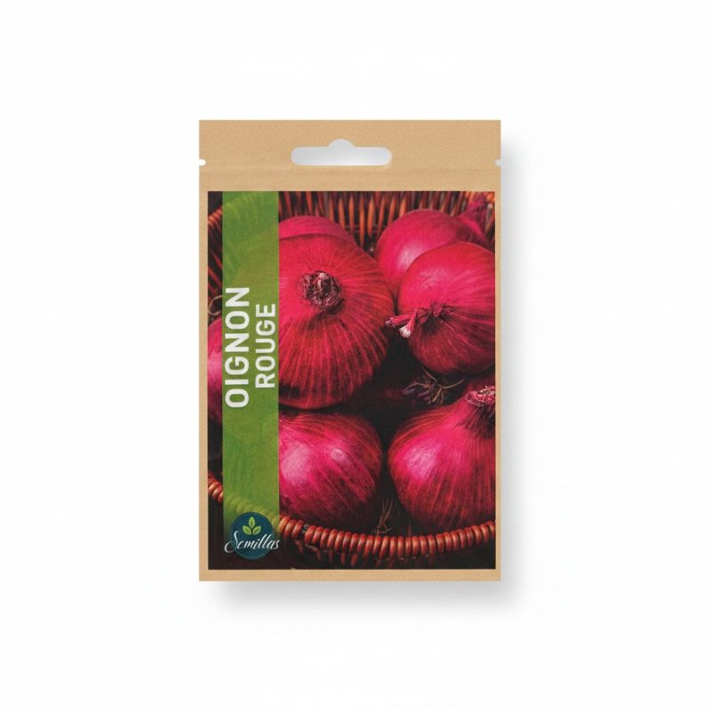 9759091 Sachet de graines d'oignon rouge Semillas pour potager 2g
