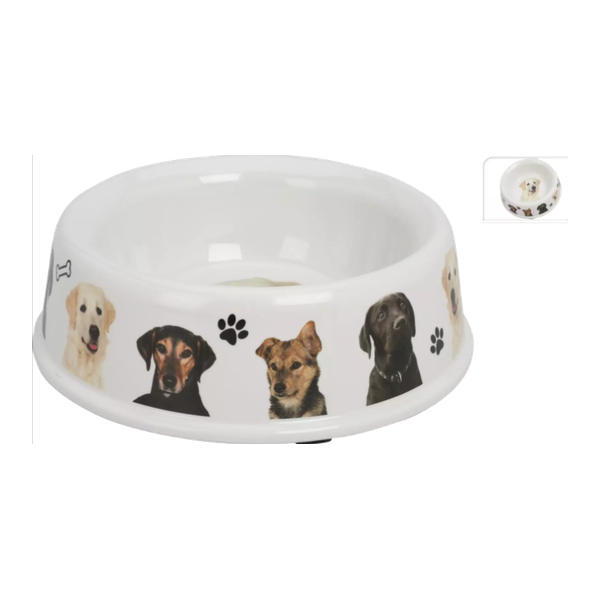 Bol de nourriture pour chiens 25 cm