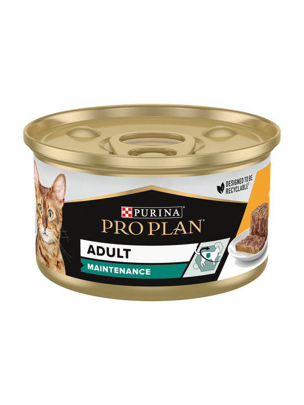989487 Pâtée Adult au Poulet pour Chat Adulte 85g – Image 1