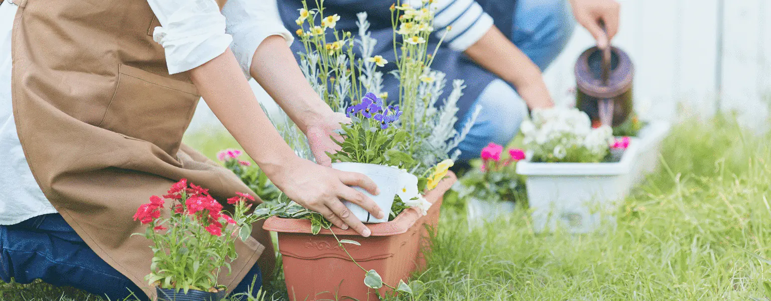 catalogue jardin (8)